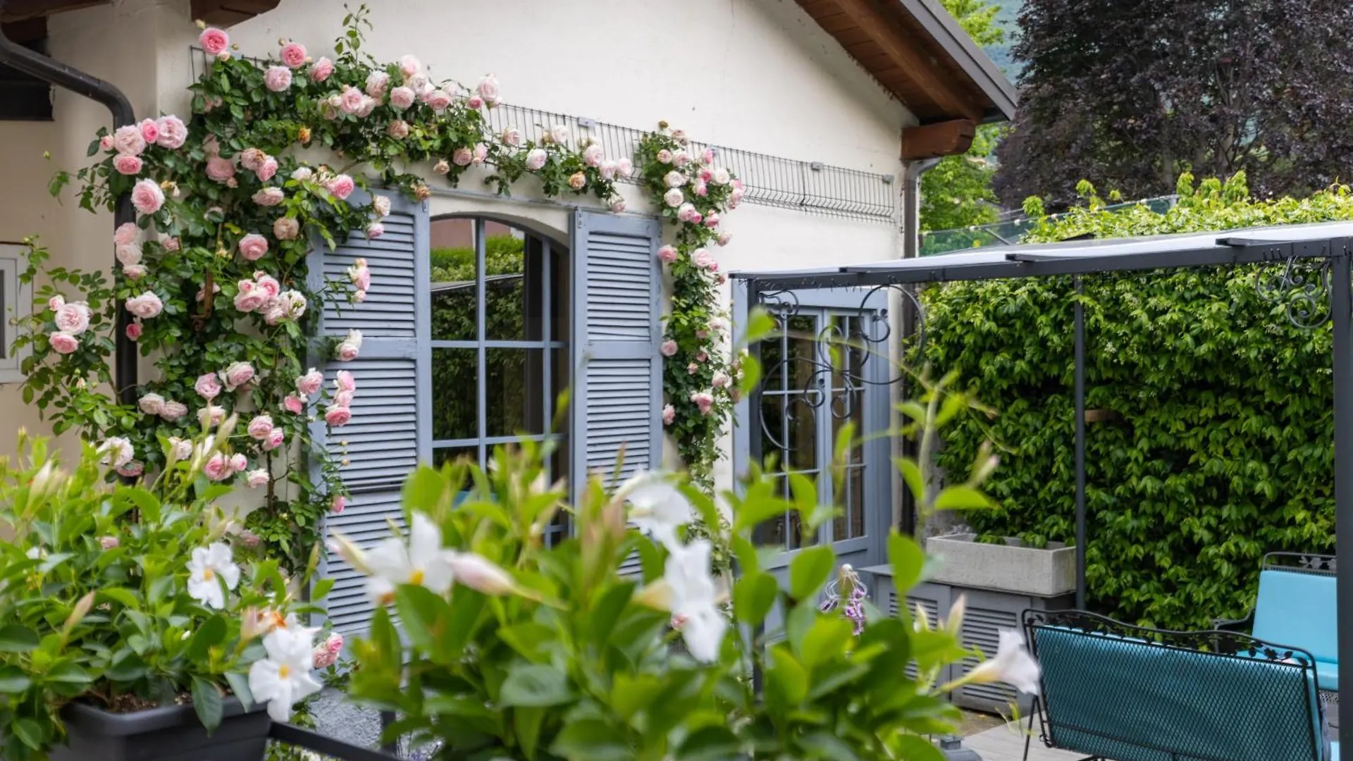 Apartment Maji Como Lake Mandello del Lario